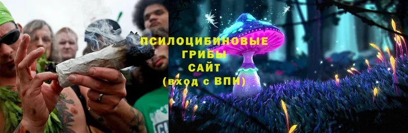 Галлюциногенные грибы MAGIC MUSHROOMS  Бодайбо 